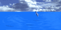 dolphins jumping anim.gif (47094 bytes)